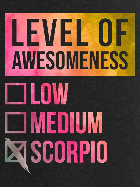 Scorpion Scorpion Scorpion