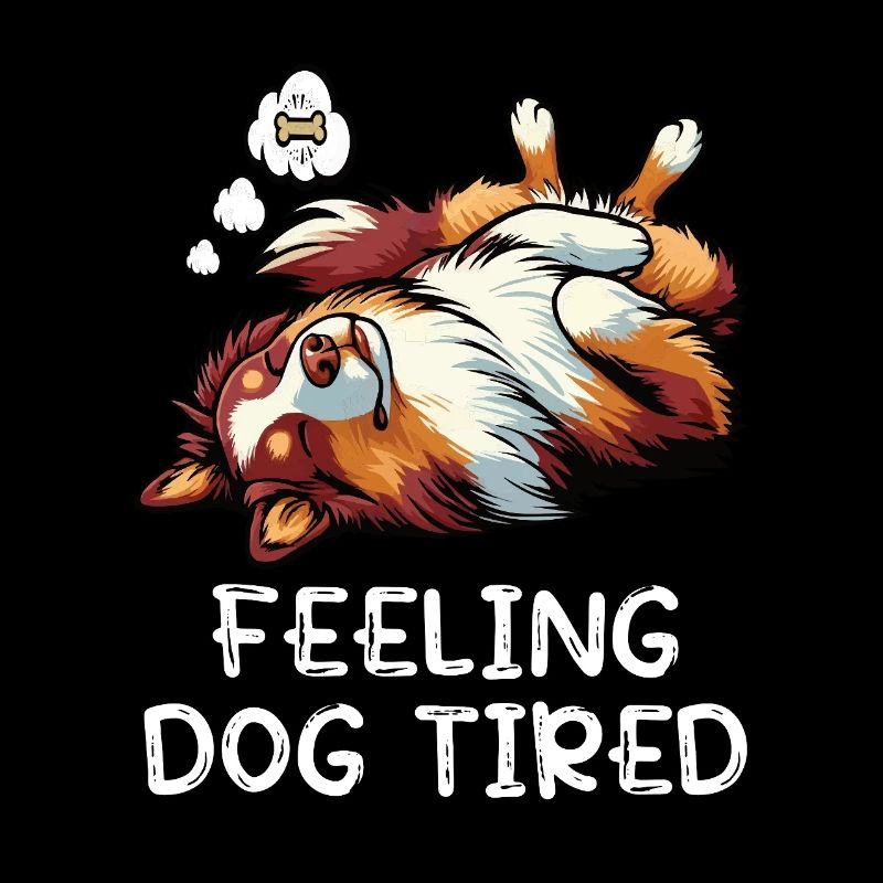 Feeling Dog Tired Australian Shepherd Aussiehalter