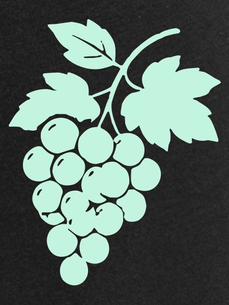 Silhouette des vignes