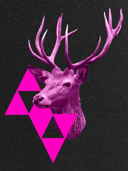 pinker Hirsch