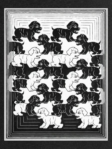 Chiots teckels en motif monochrome