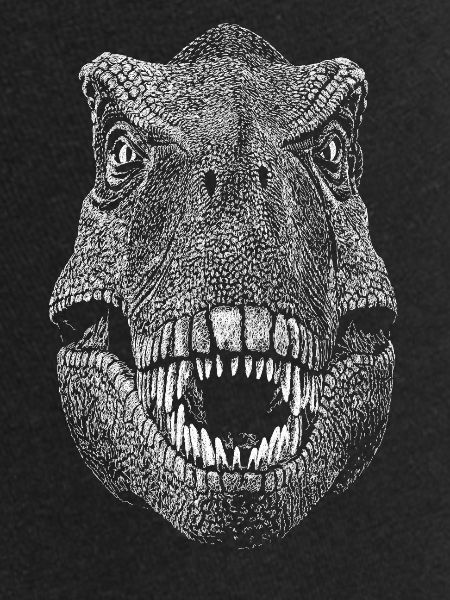 Dinosaur