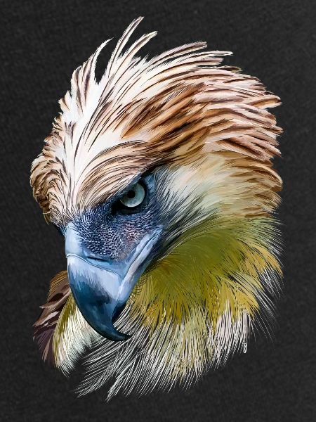 Adler