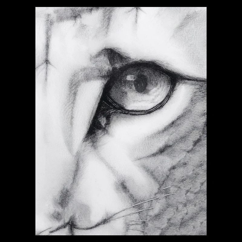 Feline
