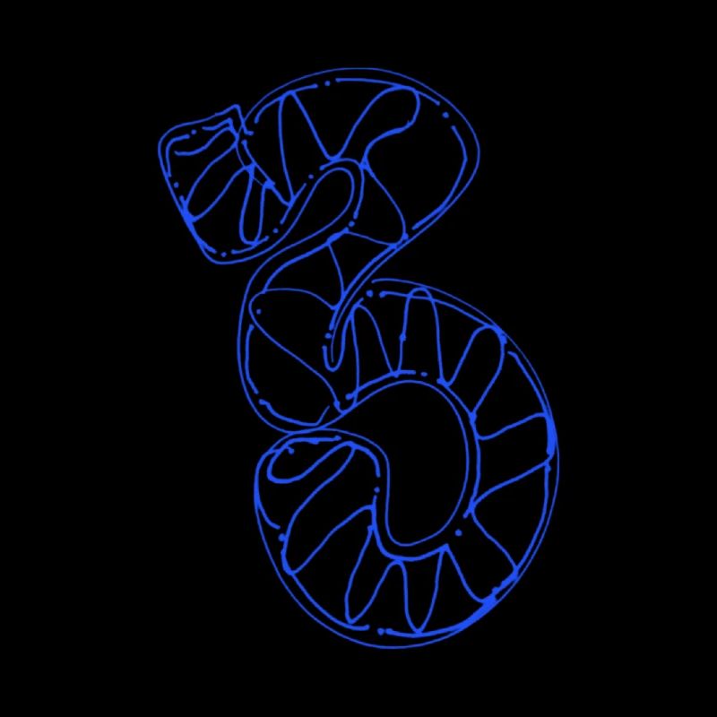 Numéro 3 préféré