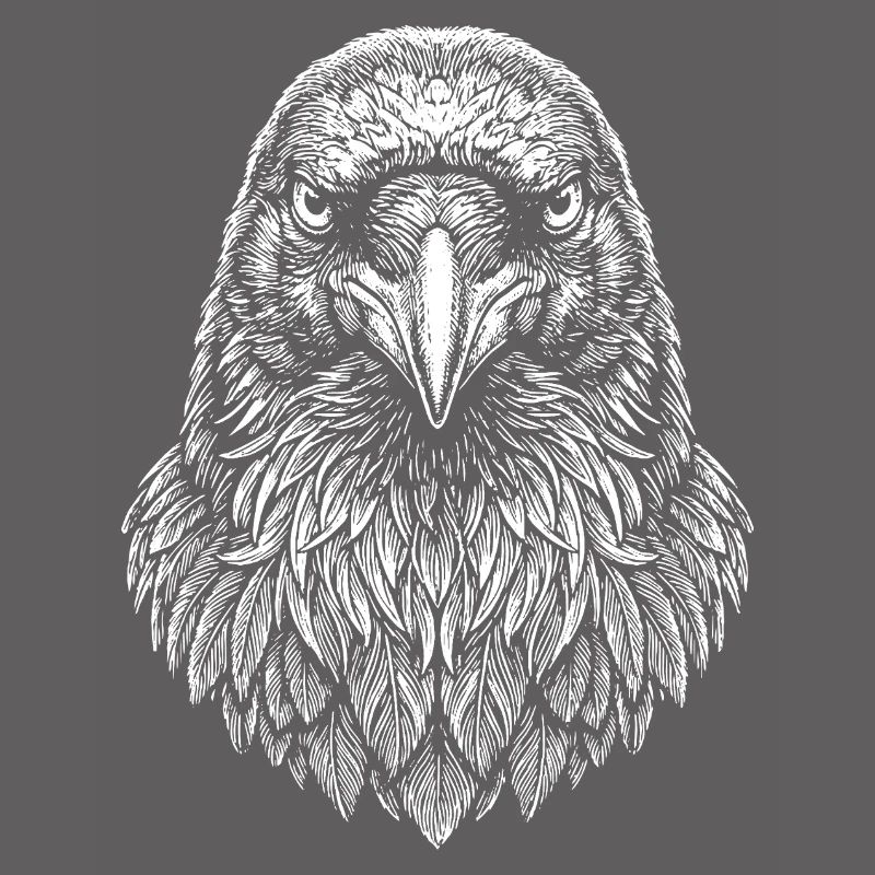 Aviator Eagle Head Line Art