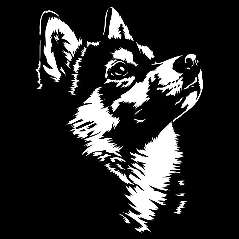Alaskan Kai Klee Silhouette Hunde Hund Wilsigns