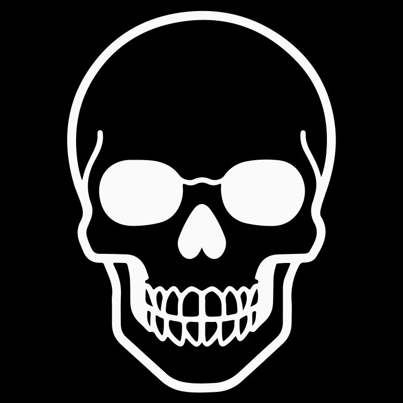 Minimalist skull design