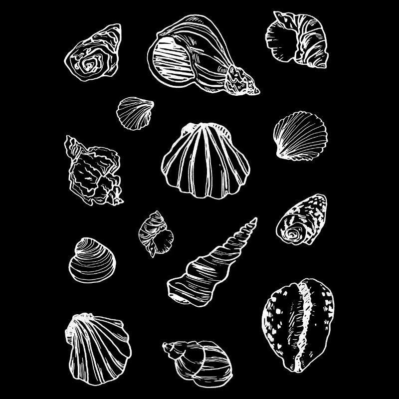 MOULES