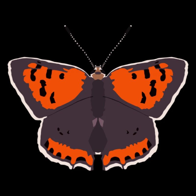 Papillons : Le Petit Papillon de Feu