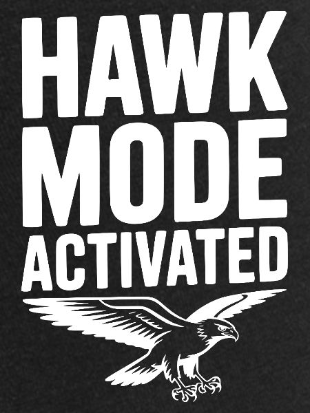 Mode Faucon activé