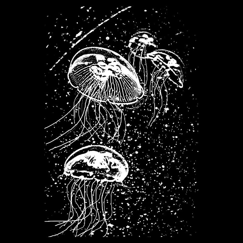 Jellyfish