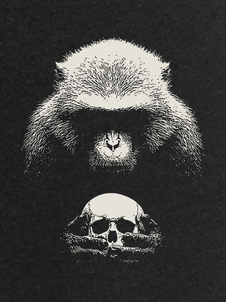 Shakespeare's monkey
