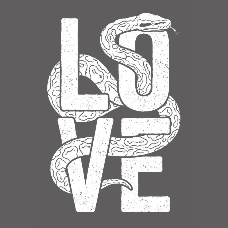 Königspython Schlangen LOVE Terrarium Python