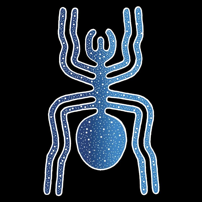 Nazca Spider Animal