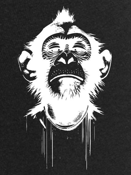 Monkey President