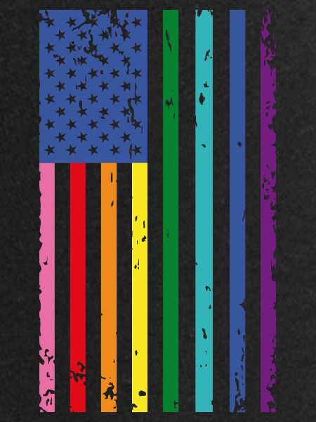 Rainbow USA Flag
