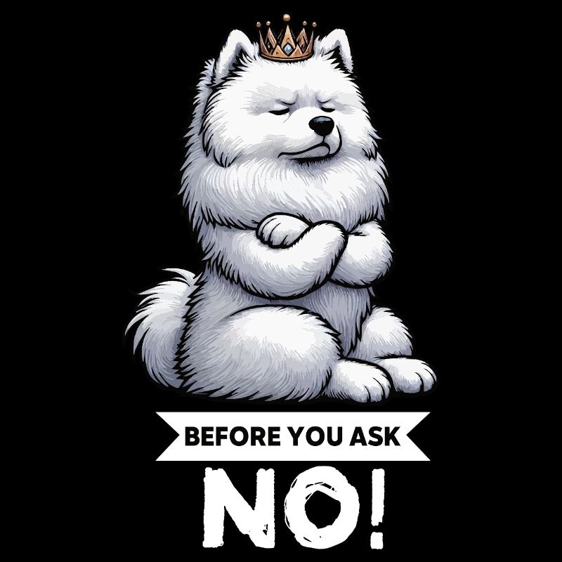Before You Ask Samoyed Samoyed Owner