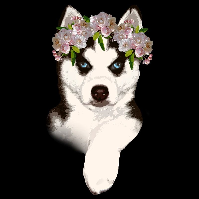 Husky avec couronne de fleurs