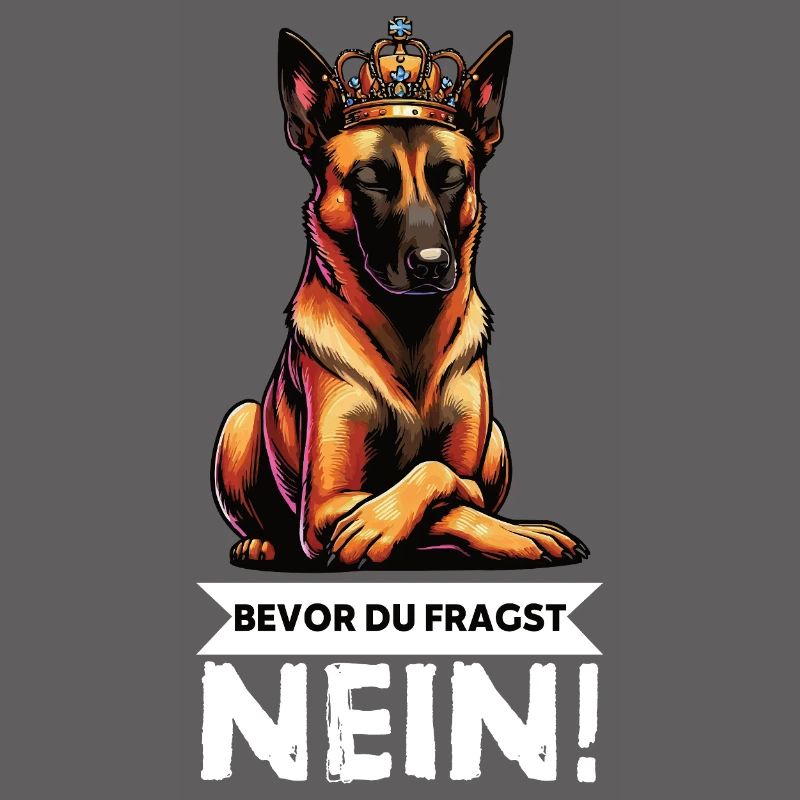 Before you ask: Malinois Belgian Shepherd
