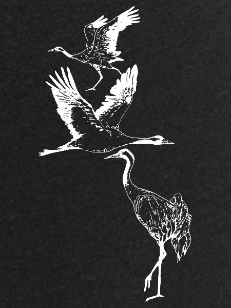 CRANES