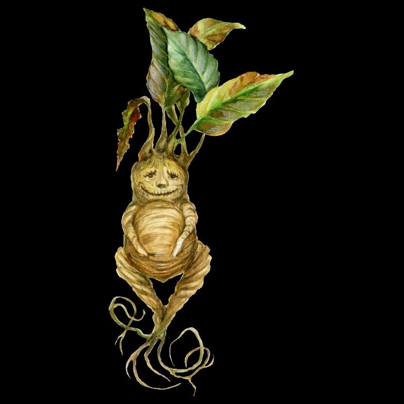 Root Creature Fantasy Mythical Creature Design