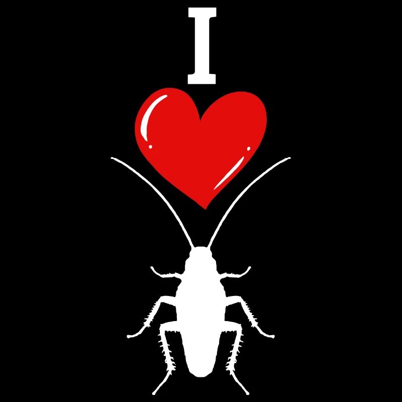 cockroach insect