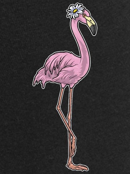 Flamingo Daisies