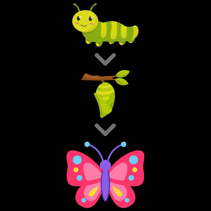 Transformation de chenille en papillon