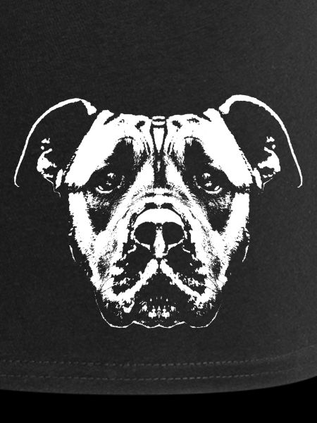 Chien / Tête / Blanc / Fidèle