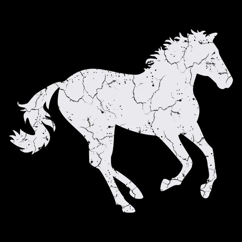 White horse galloping