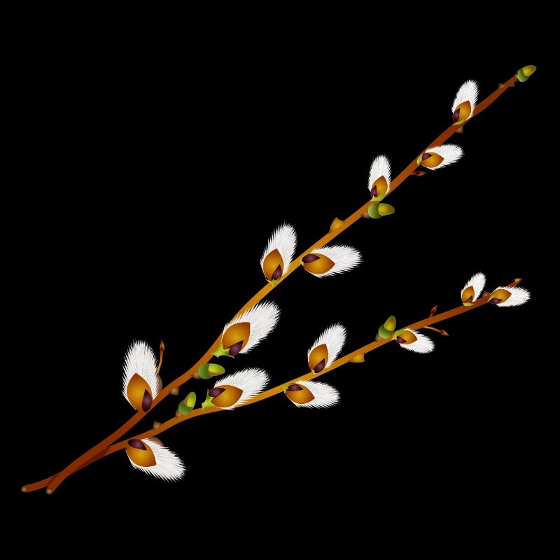 Branches délicates de manche de palmier – Motif printanier