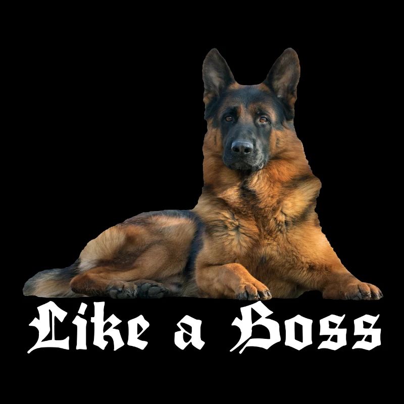 Schäferhund,Hundesport,Deutscher Schäferhunde,