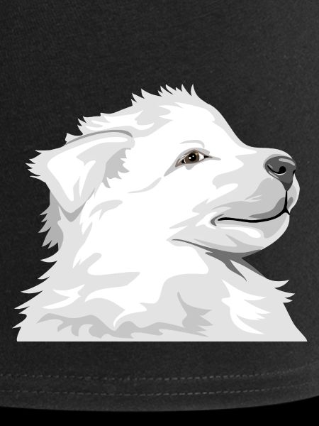 Chiot blanc