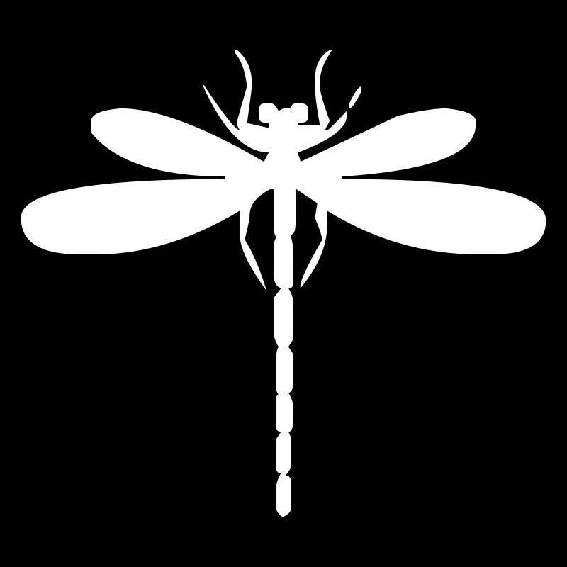 Insecte libellule