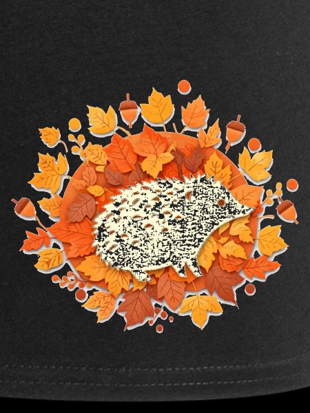 Hérisson feuille d’automne