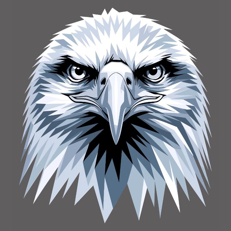 Eagle Bald Eagle Golden Eagle White-tailed Eagle