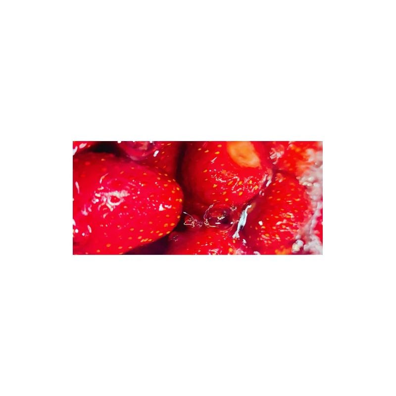 Frische Erdbeeren Erdbeerposter
