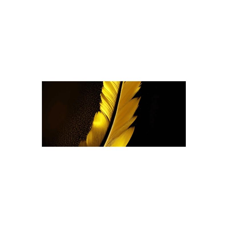 Feather