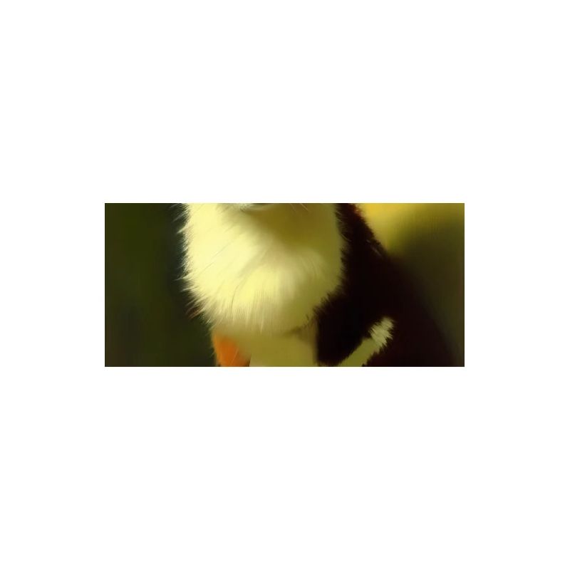Cat Image