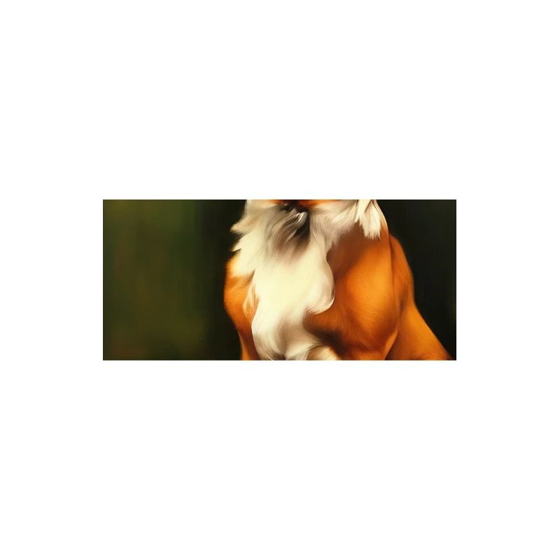 Hunde Bild