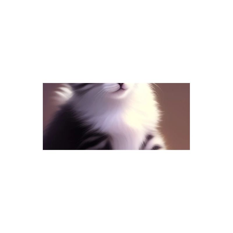 Bébé chat