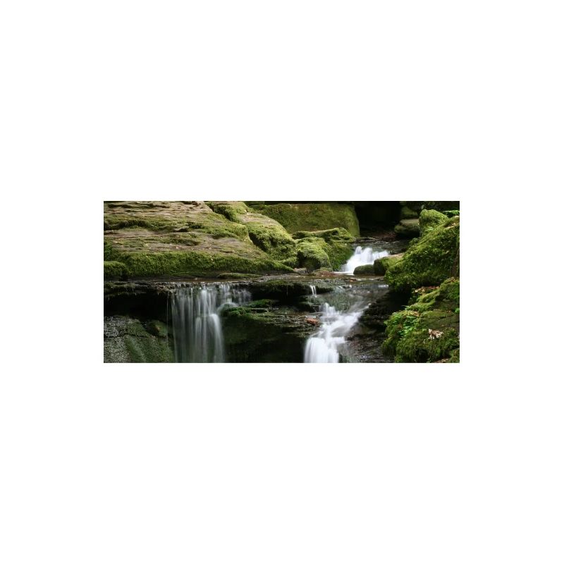 Schwarzwälder Monbach