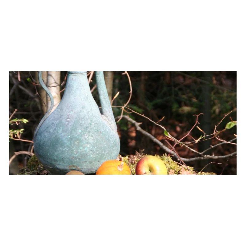Copper pot in the Black Forest