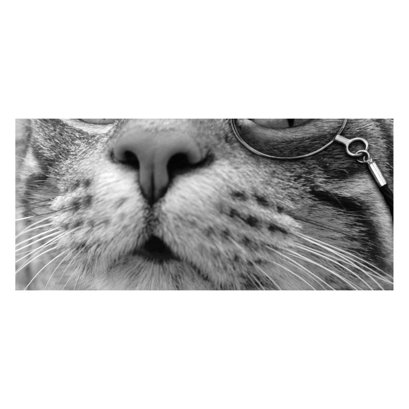 Monocle Chat Noir & Blanc