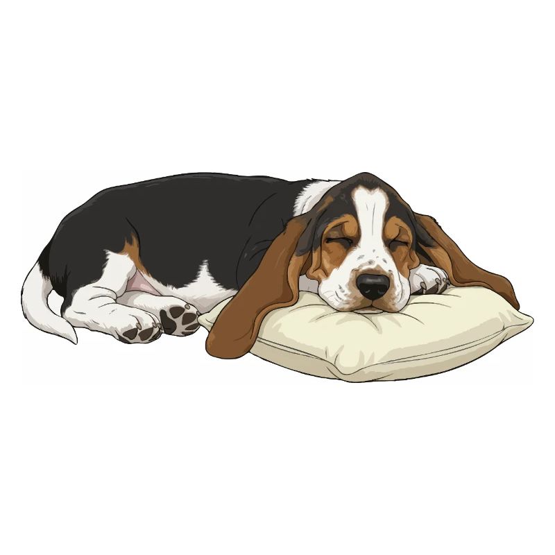 Sleeping Basset Hound on Pillow