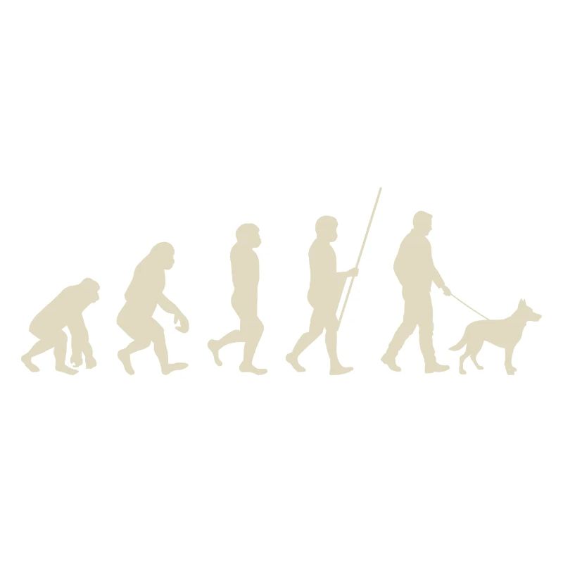 Illustration der Evolution der Menschheit
