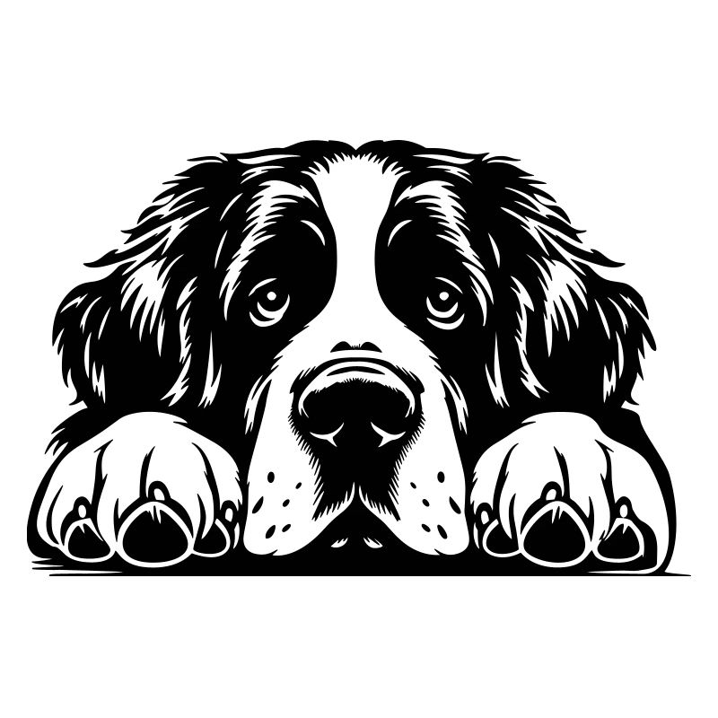 St. Bernard head with paws