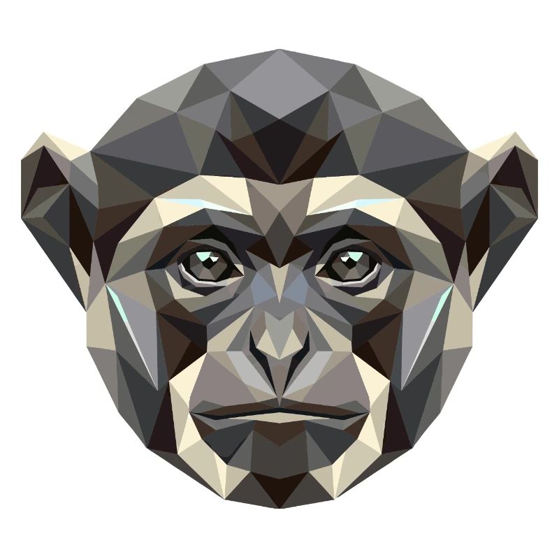 Gibbon Monkey Whitehand Gibbon Monkey Cute Lar Gibbons
