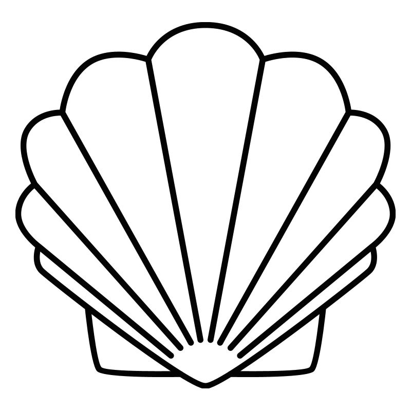 Shell